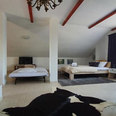 Villa Mons Aureus Popovac Екстер'єр фото