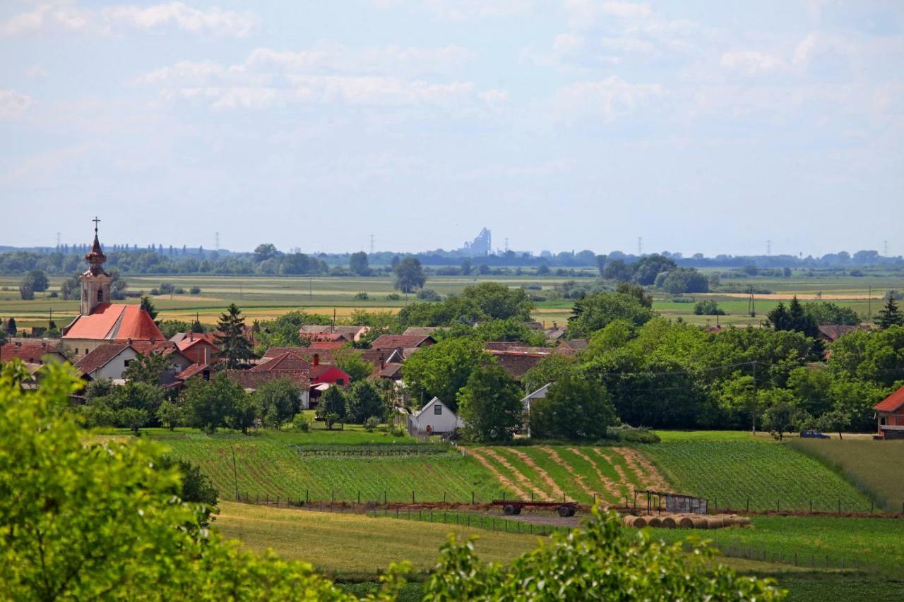 Villa Mons Aureus Popovac Екстер'єр фото